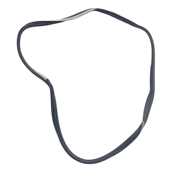 Borracha Porta Dianteira Direita Citroen C4 Picasso 2009