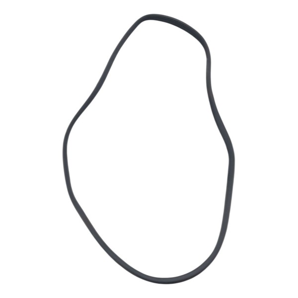 Borracha Vedação Porta Traseira Direita Gm Astra 2.0 2005