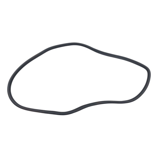 Borracha Vedação Porta Traseira Direita Gm Astra 2.0 2005