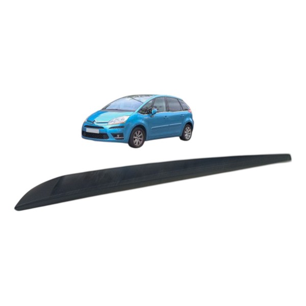 Friso Traseiro Esquerdo Citroen C4 Picasso 2009 Detalhe