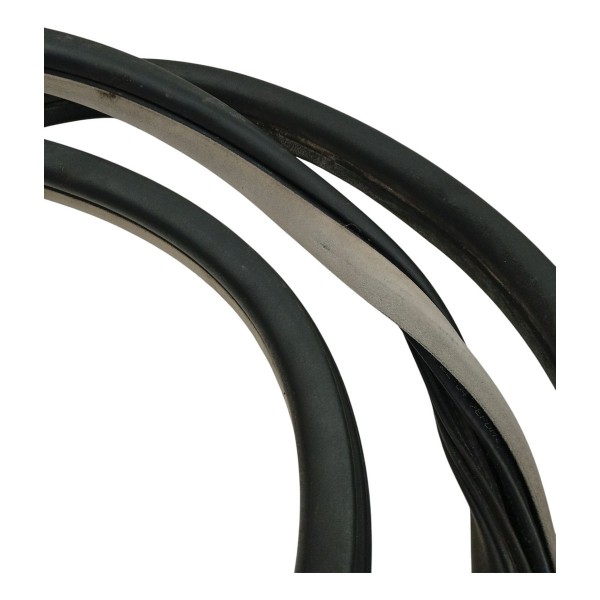 Borracha Porta Dianteira Esquerda Citroen C4 Picasso 2009