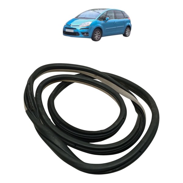 Borracha Porta Dianteira Esquerda Citroen C4 Picasso 2009