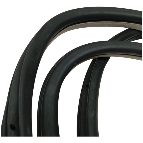 Borracha Porta Dianteira Esquerda Citroen C4 Picasso 2009