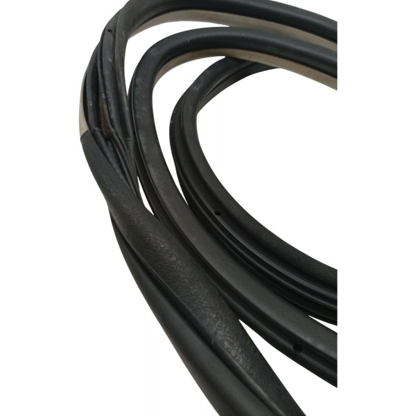 Borracha Porta Dianteira Esquerda Citroen C4 Picasso 2009