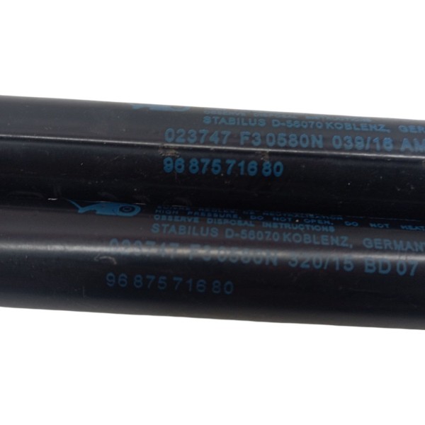 Par Amortecedor Tampa Traseira Citroen C4 Picasso 2009