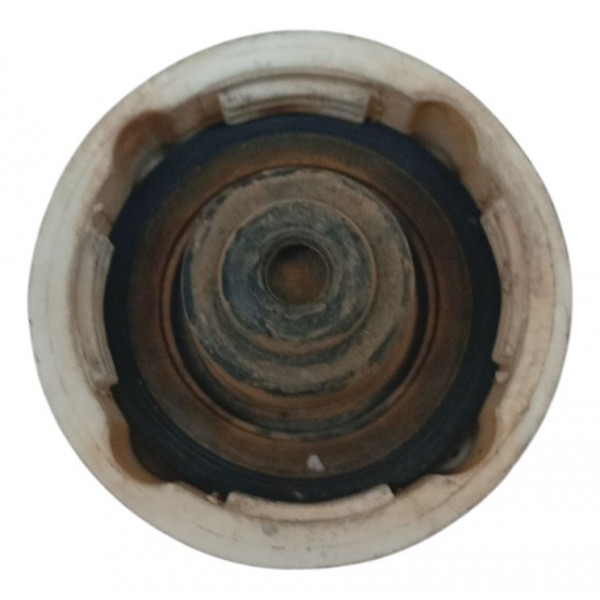 Tampa Reservatorio Agua Radiador Renault Clio Sedan 1.0 2009