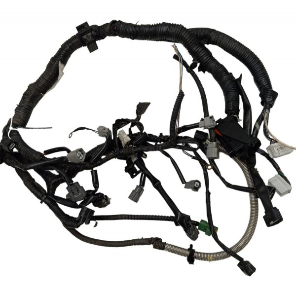 Chicote Injeção Nissan Sentra 2.0 2008 2009 2010 2011 2012