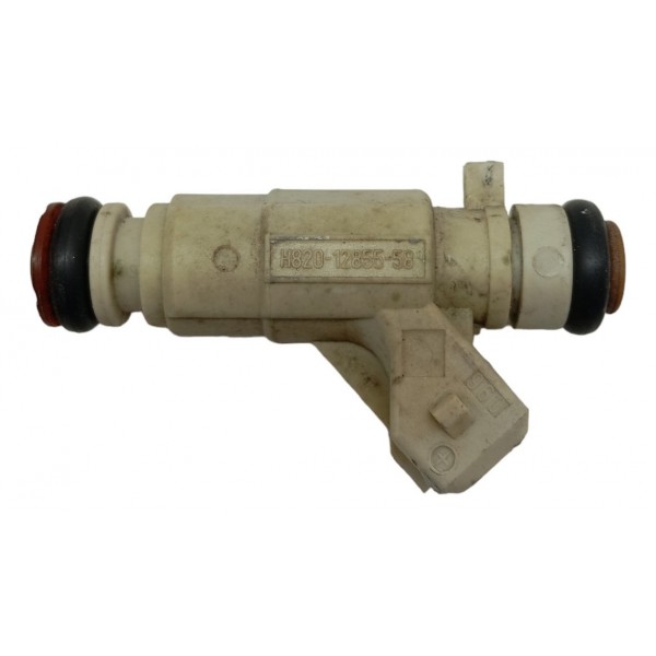 Bico Injetor Renault Sandero Logan Clio 1.0 16v 2009 10 12