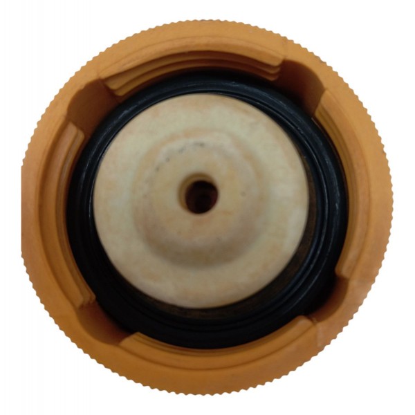 Tampa Reservatório Água Radiador Renault Megane 2000 2001