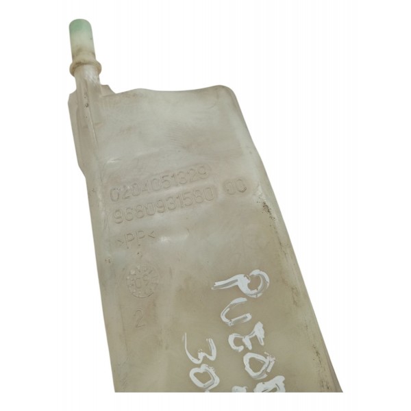 Reservatório Fluido Freio Peugeot 307 1.6 2005