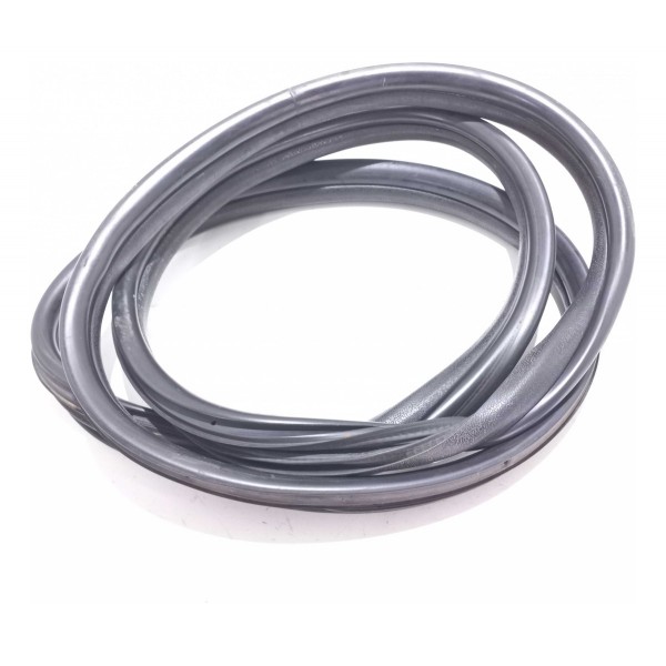 Borracha Porta Traseira Renault Clio