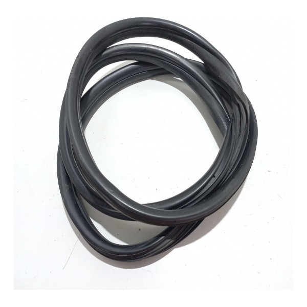 Borracha Porta Traseira Renault Clio