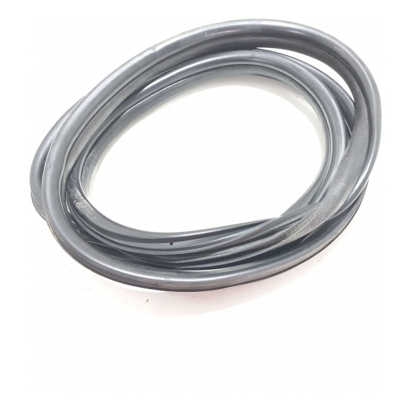 Borracha Porta Traseira Renault Clio