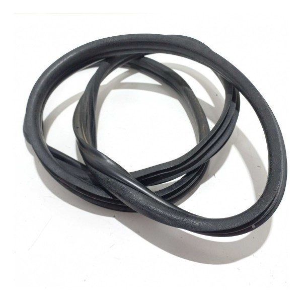 Borracha Porta Traseira Renault Clio