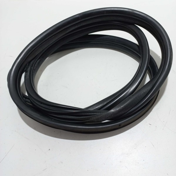 Borracha Porta Traseira Renault Clio