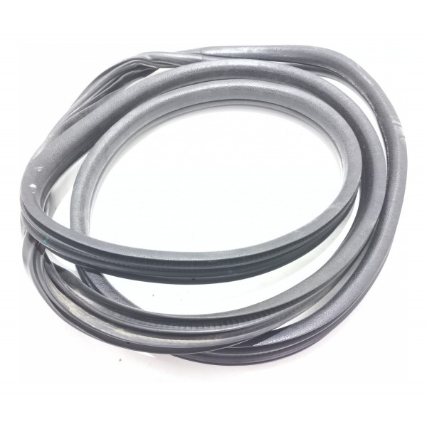 Borracha Porta Dianteira Renault Clio