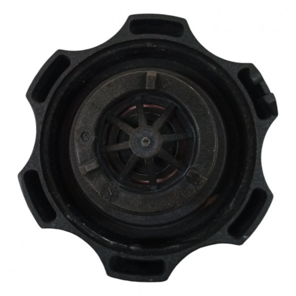 Tampa Reservatório Água Radiador Fiat Argo 2018