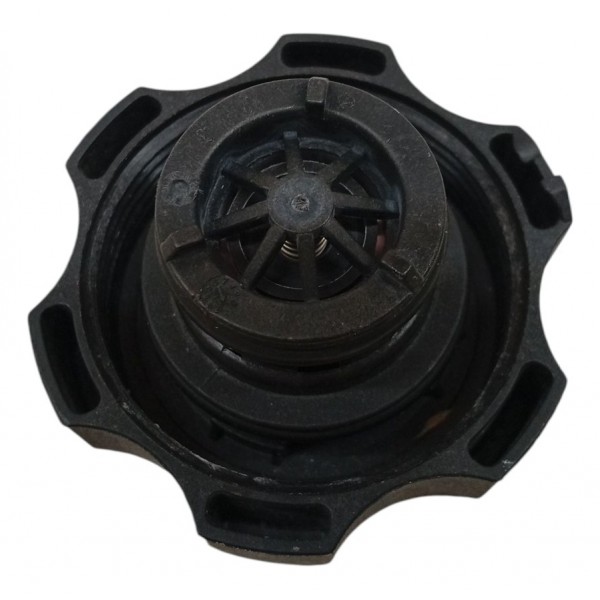 Tampa Reservatório Água Radiador Fiat Argo 2018