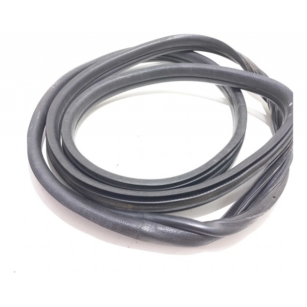 Borracha Porta Dianteira Renault Clio