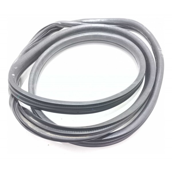 Borracha Porta Dianteira Renault Clio