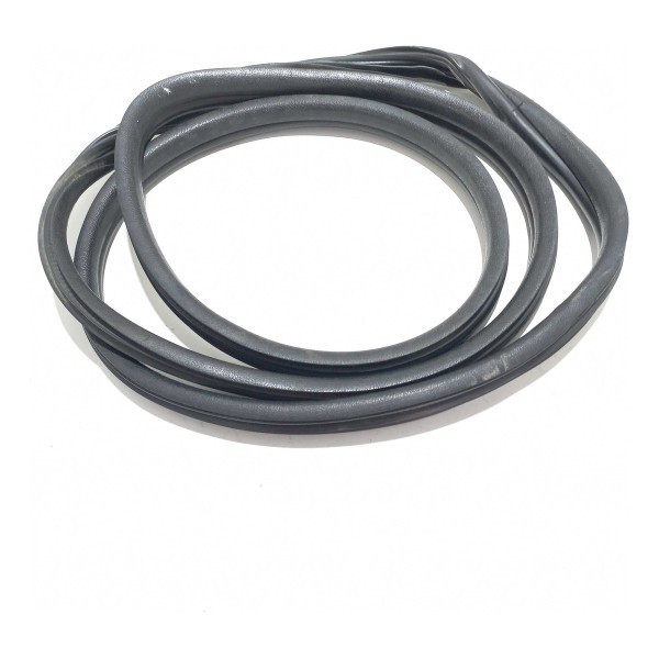 Borracha Porta Dianteira Renault Clio