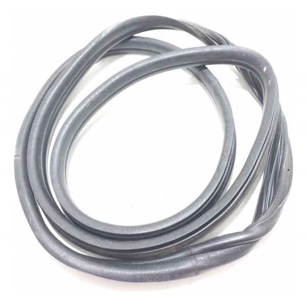 Borracha Porta Dianteira Renault Clio