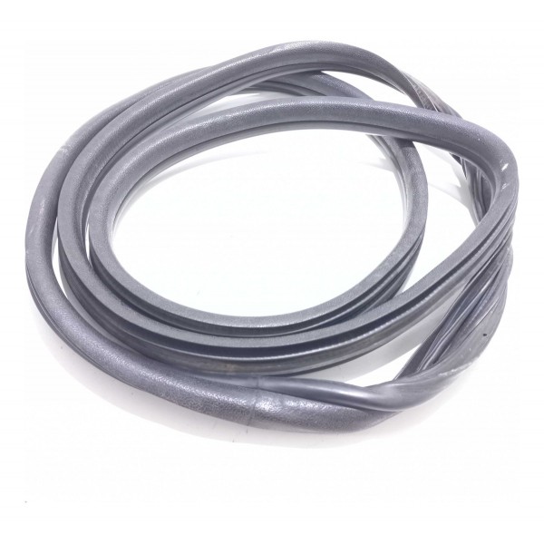 Borracha Porta Dianteira Renault Clio