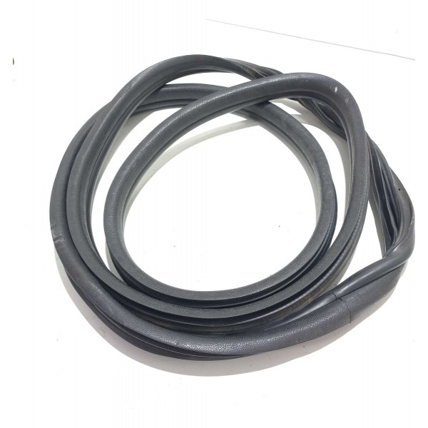 Borracha Porta Dianteira Renault Clio