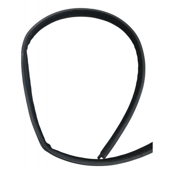 Borracha Teto Pingadeira Esquerda Renault Sandero 1.0 2017