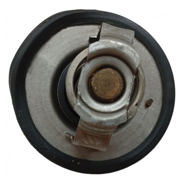 Valvula Termostatica Renault Duster Captur 1.6 16v 2018 2020