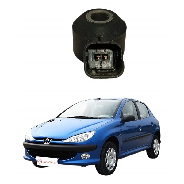 Sensor Detonação Peugeot 206 207 307 1.4 2006 2007 2008