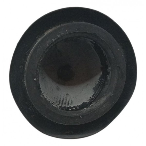 Par Tampa Amortecedor Traseiro Renault Clio 2002