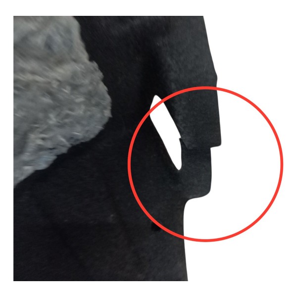 Forro Direito Porta Malas Citroen C4 Lounge 1.6 2015 Detalhe