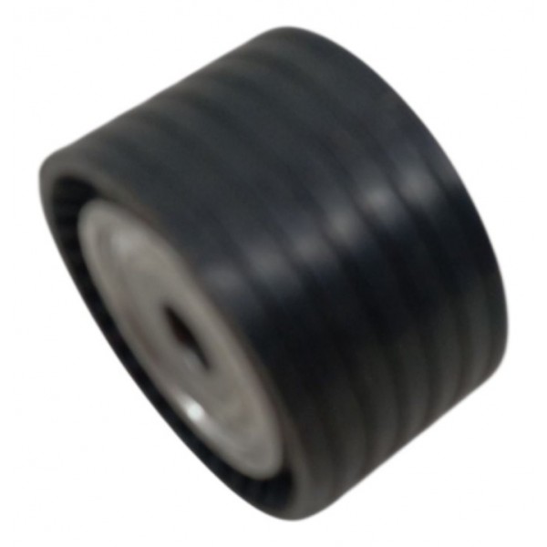 Polia Fixa Acessórios Motor Renault Sandero Rs 2018