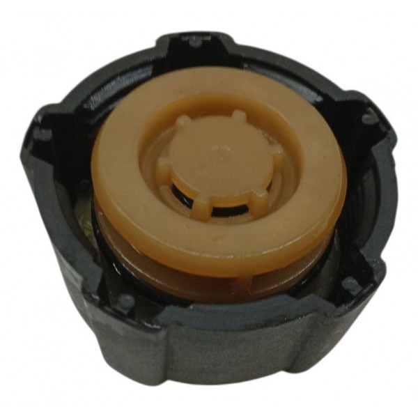 Tampa Reservatorio Agua Motor Renault Logan 2009