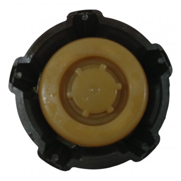 Tampa Reservatorio Agua Motor Renault Logan 2009