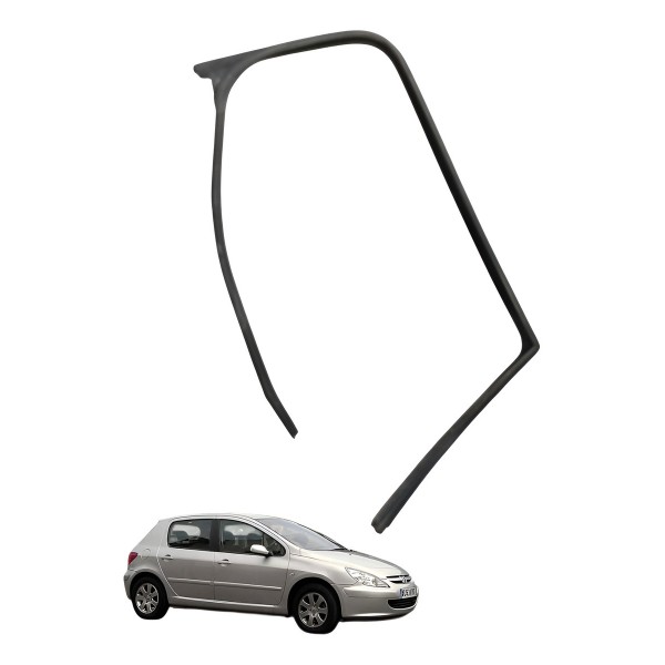 Borracha Guarnição Porta Traseira Direita Peugeot 307 2007