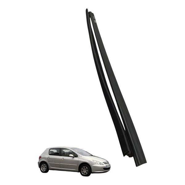Kit Canaleta Porta Traseira Esquerda Peugeot 307 1.6 2007