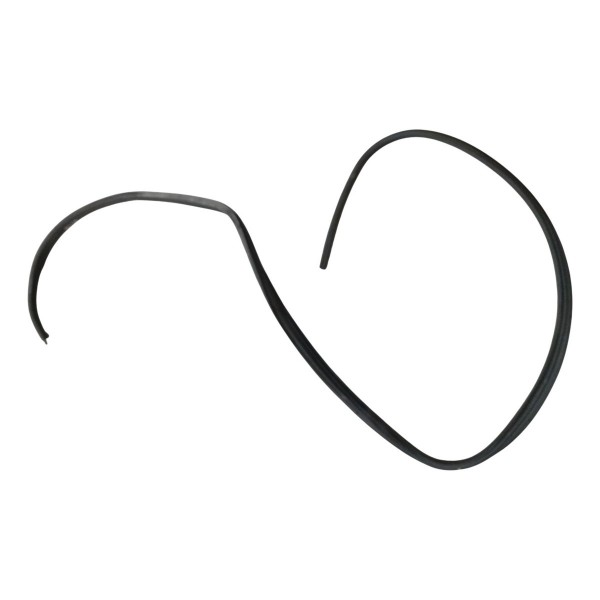 Borracha Porta Dianteira Esquerda Peugeot 307 1.6 2006 2007