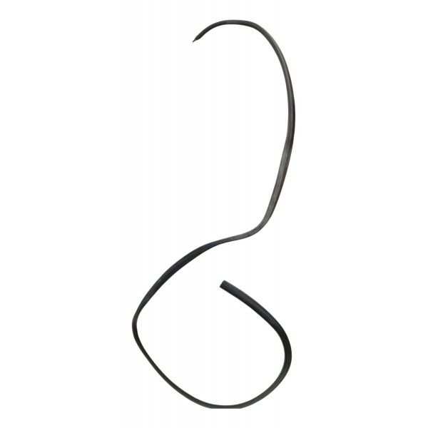 Borracha Porta Dianteira Esquerda Peugeot 307 1.6 2006 2007