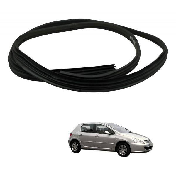 Borracha Porta Dianteira Esquerda Peugeot 307 1.6 2006 2007