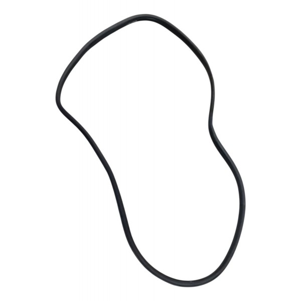 Borracha Vedação Porta Traseira Direita Citroen C4 2013 2014