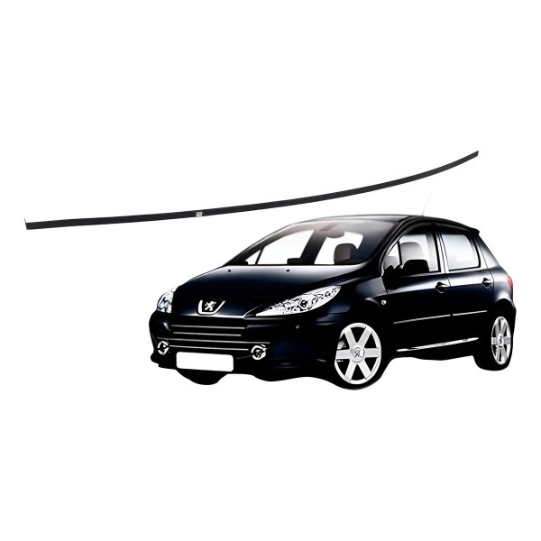 Friso Teto Esquerdo Preto Peugeot 307 1.6 2003 2004 2005