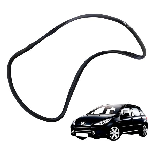 Borracha Porta Traseira Direita Peugeot 208 2014 2015 2016