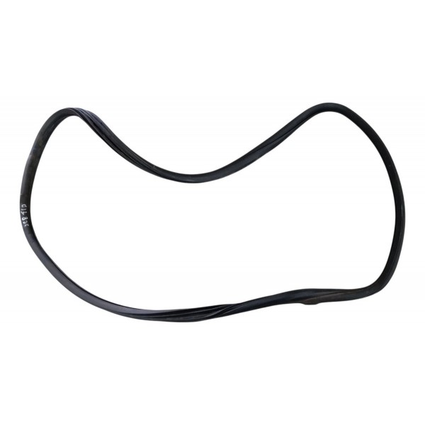 Borracha Porta Traseira Direita Peugeot 208 2014 2015 2016