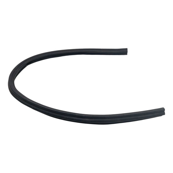 Borracha Canaleta Porta Dianteira Renault Logan 1.6 2009