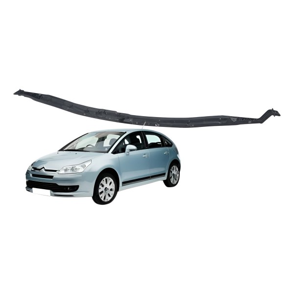 Suporte Acabamento Churrasqueira Citroen C4 Pallas 2008 2009