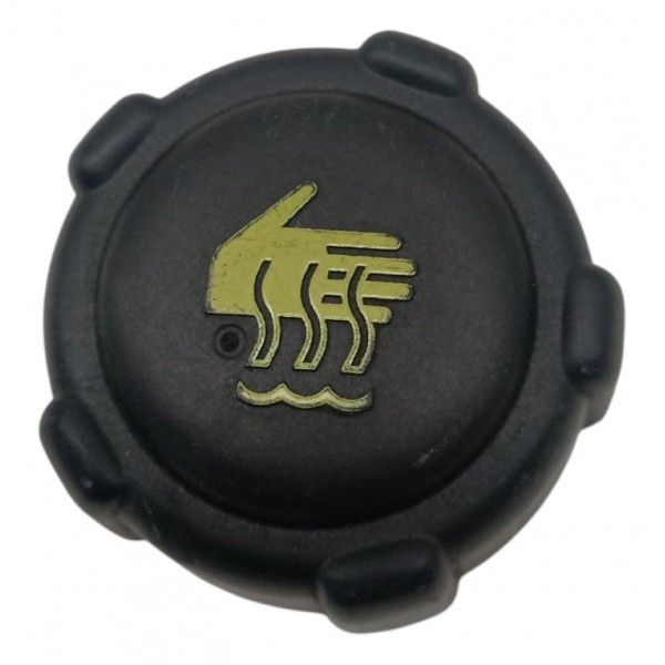 Tampa Reservatorio Agua Radiador Renault Sandero 1.0 2017