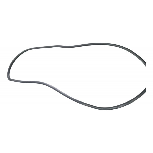 Borracha Porta Dianteira Esquerda Peugeot 307 2006 2007 2008