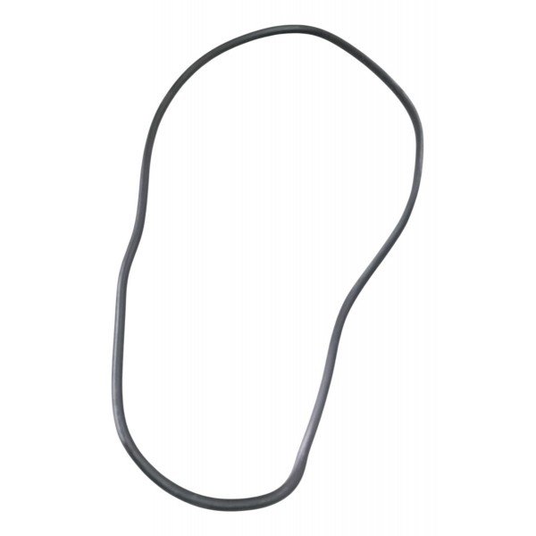 Borracha Porta Dianteira Esquerda Peugeot 307 2006 2007 2008